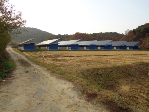 DSC00320.JPG